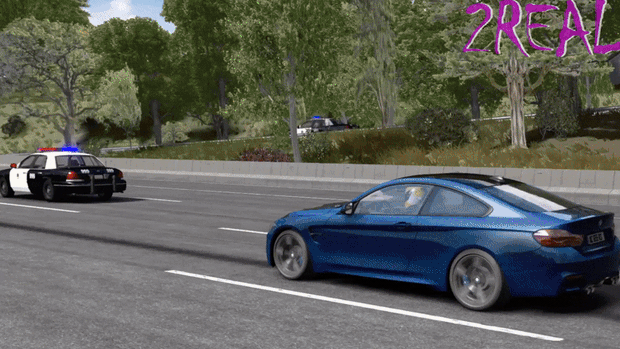 2REAL - Police Mod Overhaul (info)